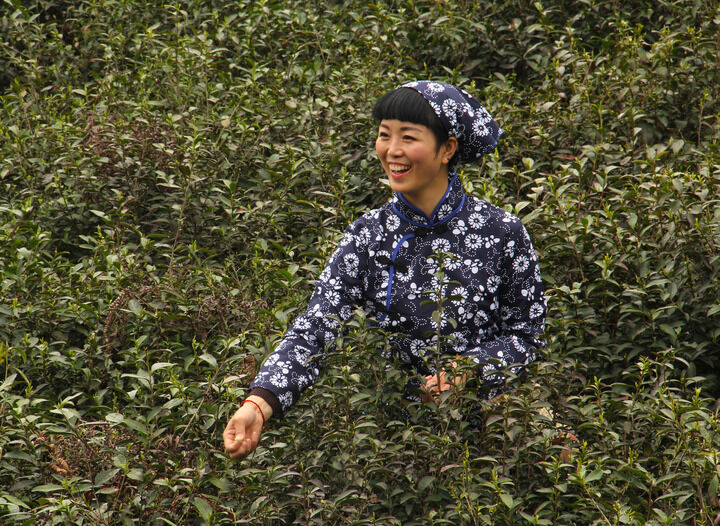 禁忌访谈